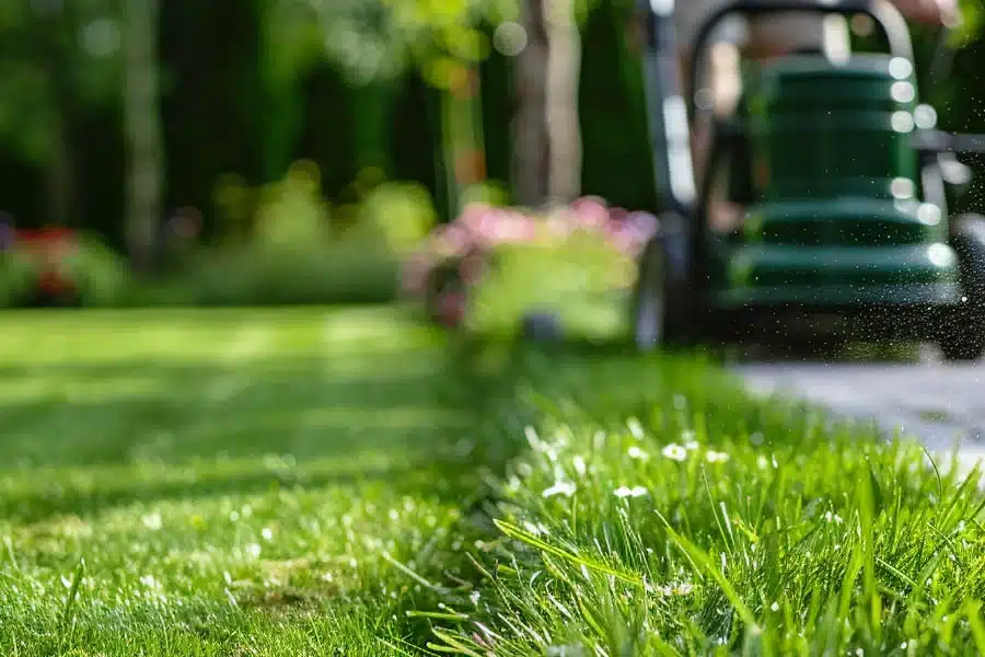 yard mower